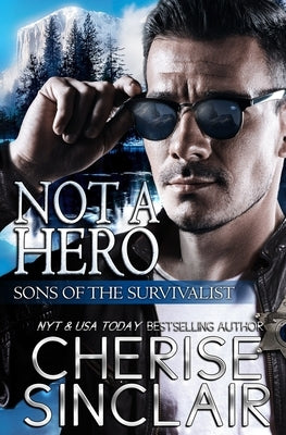 Not a Hero Paperback Vanscoy Publishing Group