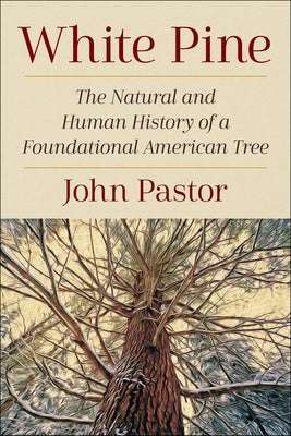 White Pine: The Natural and Human History of a Foundational American Tree Paperback Island Press