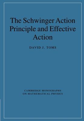 Paperback of The Schwinger Action Principle and Effective Action by Cambridge University Press, featuring the book cover with text.
