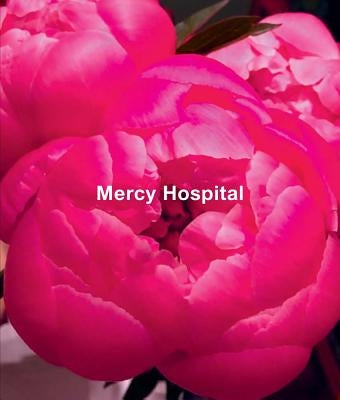 Ida Applebroog: Mercy Hospital by Applebroog, Ida