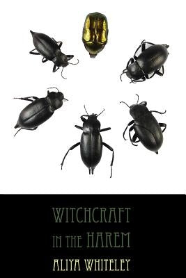 Witchcraft in the Harem Paperback Dog Horn Publishing