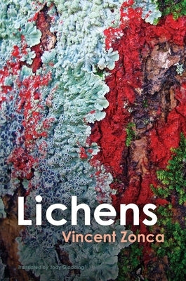 Lichens: Toward a Minimal Resistance Paperback Polity Press