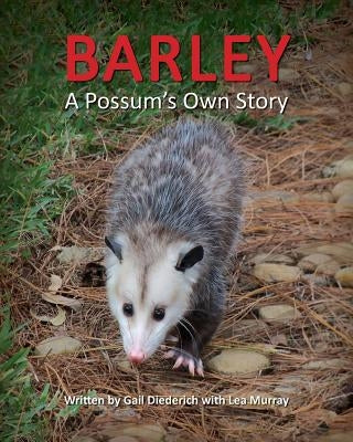 Barley, a Possum's Own Story by Diederich, Gail