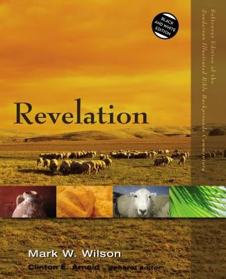Revelation Paperback Zondervan Academic