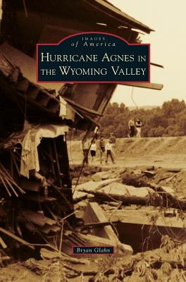 Hurricane Agnes in the Wyoming Valley by Glahn, Bryan