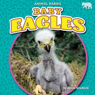 Baby Eagles by Grodzicki, Jenna