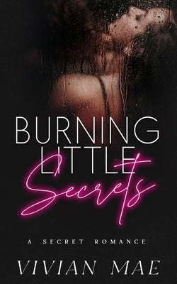 Burning Little Secrets Paperback Midtown Publishing LLC