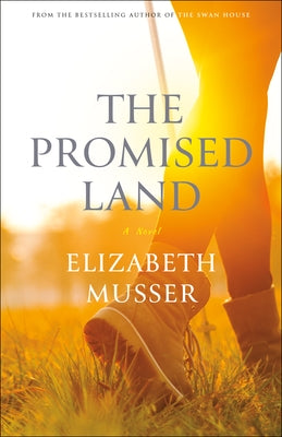 Paperback of The Promised Land novel by Bethany House Publishers, showing the front cover with title and artwork.