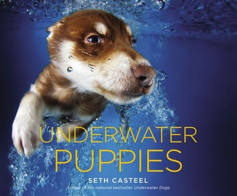 Underwater Puppies by Casteel, Seth