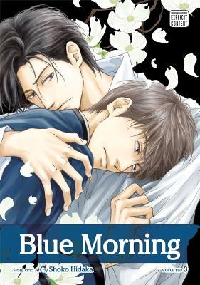 Blue Morning, Vol. 3: Volume 3 by Hidaka, Shoko