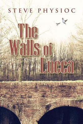 The Walls of Lucca Paperback Steve Physioc
