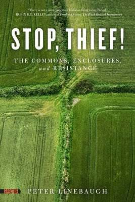 Stop, Thief!: The Commons, Enclosures, and Resistance Paperback PM Press