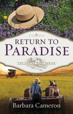Return to Paradise Paperback Abingdon Press