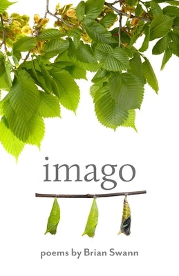 Imago Paperback Johns Hopkins University Press