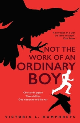 Not the Work of an Ordinary Boy Paperback Stairwell Books