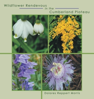 Wildflower Rendevous in the Cumberland Plateau by Morris, Dolores Reppert