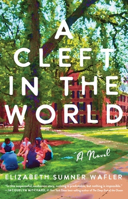 A Cleft in the World by Wafler, Elizabeth Sumner