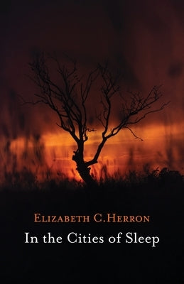 In the Cities of Sleep by Herron, Elizabeth