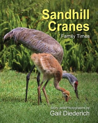 Sandhill Cranes, Family Times Paperback Peppertree Press