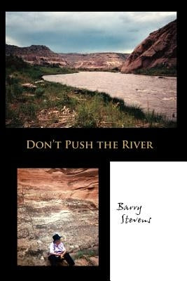 Don't Push the River by Stevens, Barry