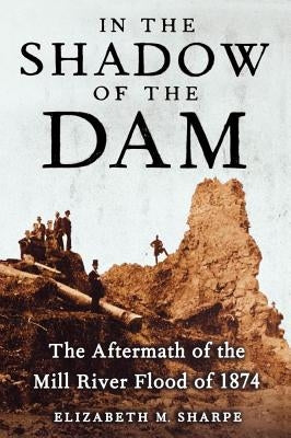 In the Shadow of the Dam: The Aftermath of the Mill River Flood of 1874 Paperback Free Press