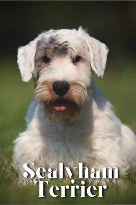 Sealyham Terrier: Dog breed overview and guide by Pustova, Nina