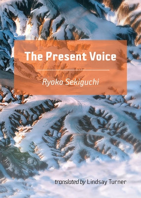 The Present Voice Paperback Threadsuns Press