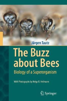 The Buzz about Bees: Biology of a Superorganism by Tautz, Jürgen