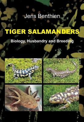 Tiger Salamanders by Benthien, Jens