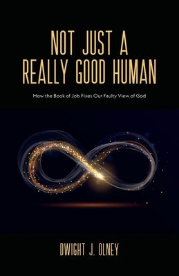 Not Just a Really Good Human: How the Book of Job Fixes Our Faulty View of God Paperback Word Alive Press