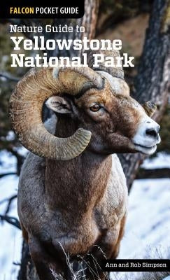 Nature Guide to Yellowstone National Park by Simpson, Ann