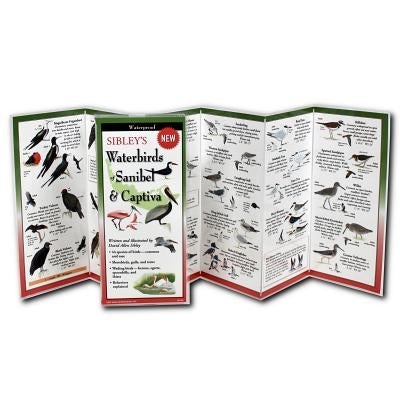 Sibley's Waterbirds of Sanibel & Captiva Earth Sky + Water
