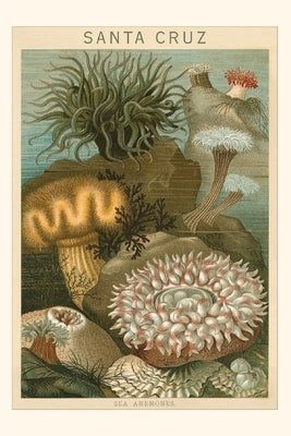 Vintage Journal Sea Anemones, Santa Cruz, California Paperback Found Image Press