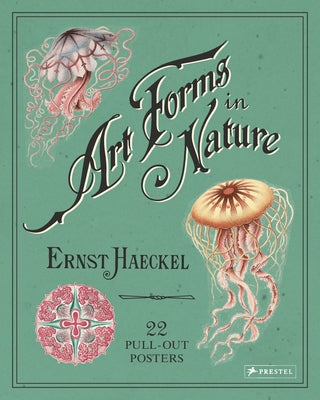 Art Forms in Nature: 22 Pull-Out Posters by Haeckel, Ernst