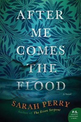 After Me Comes the Flood by Perry, Sarah