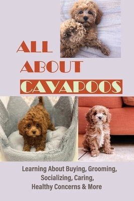 All About Cavapoos: Learning About Buying, Grooming, Socializing, Caring, Healthy Concerns & More: How To Breed Cavapoo by Sheely, Cornelius