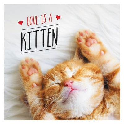 Love Is a Kitten: A Cat-Tastic Celebration of the World's Cutest Kittens by Ellis, Charlie