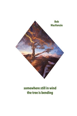 Somewhere Still in Wind the Tree is Bending Paperback Silver Bow Publishing