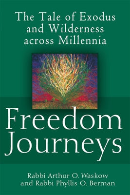 Freedom Journeys: The Tale of Exodus and Wilderness Across Millennia Paperback Jewish Lights Publishing