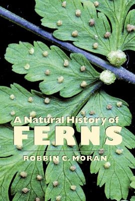 A Natural History of Ferns: A Natural History of Ferns by Moran, Robbin C.