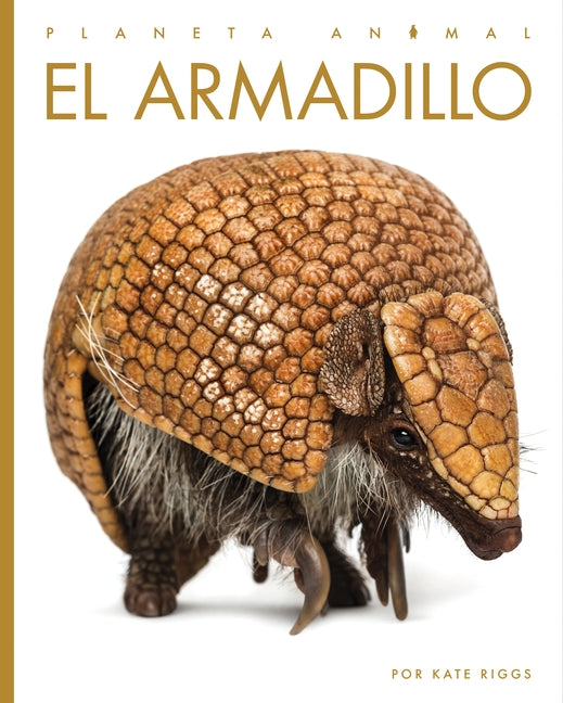 El Armadillo by Riggs, Kate