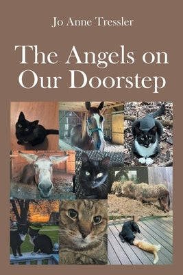 The Angels on Our Doorstep by Tressler, Jo Anne