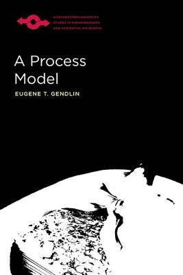 A Process Model Northwestern University Press