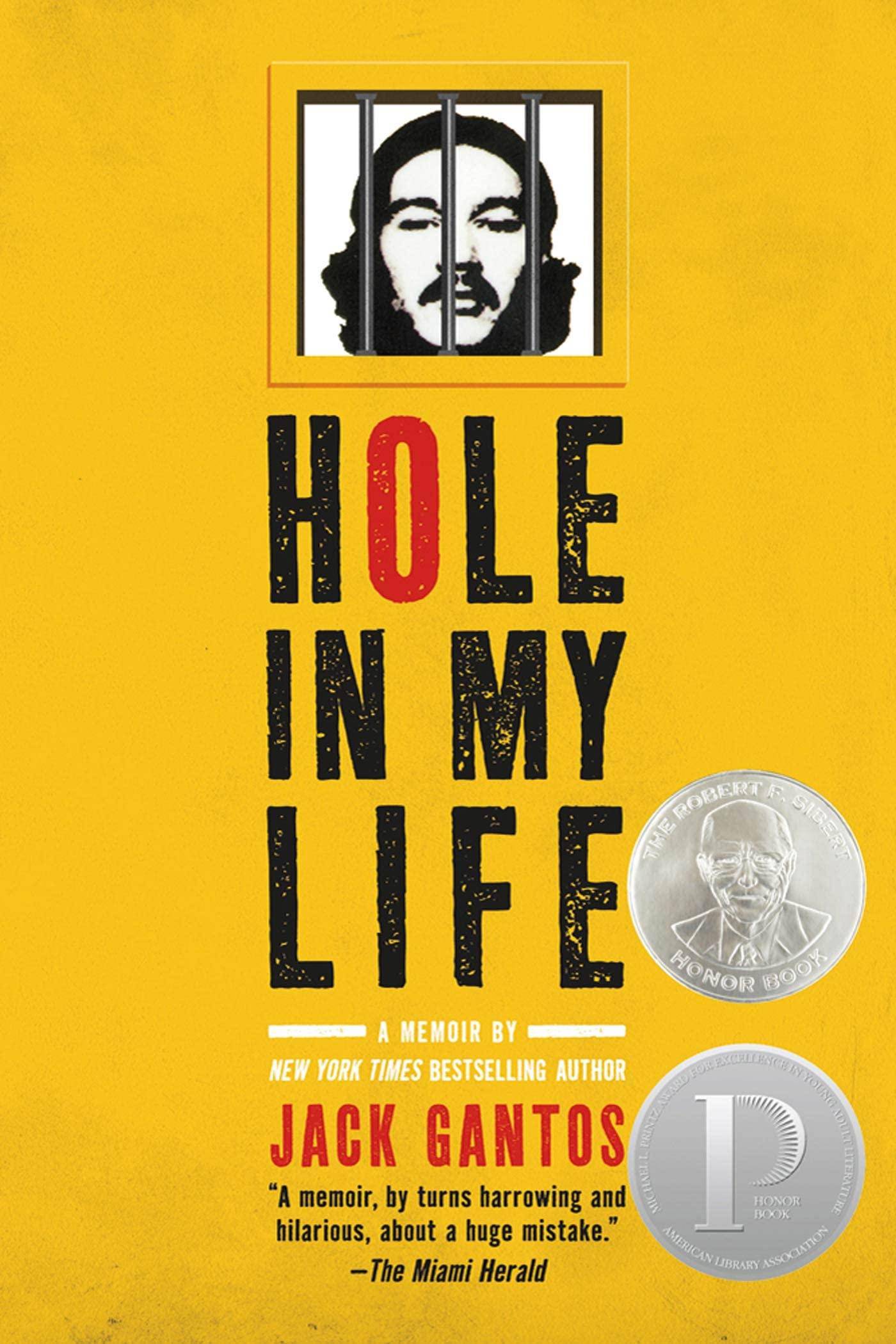Hole in My Life - SureShot Books Publishing LLC