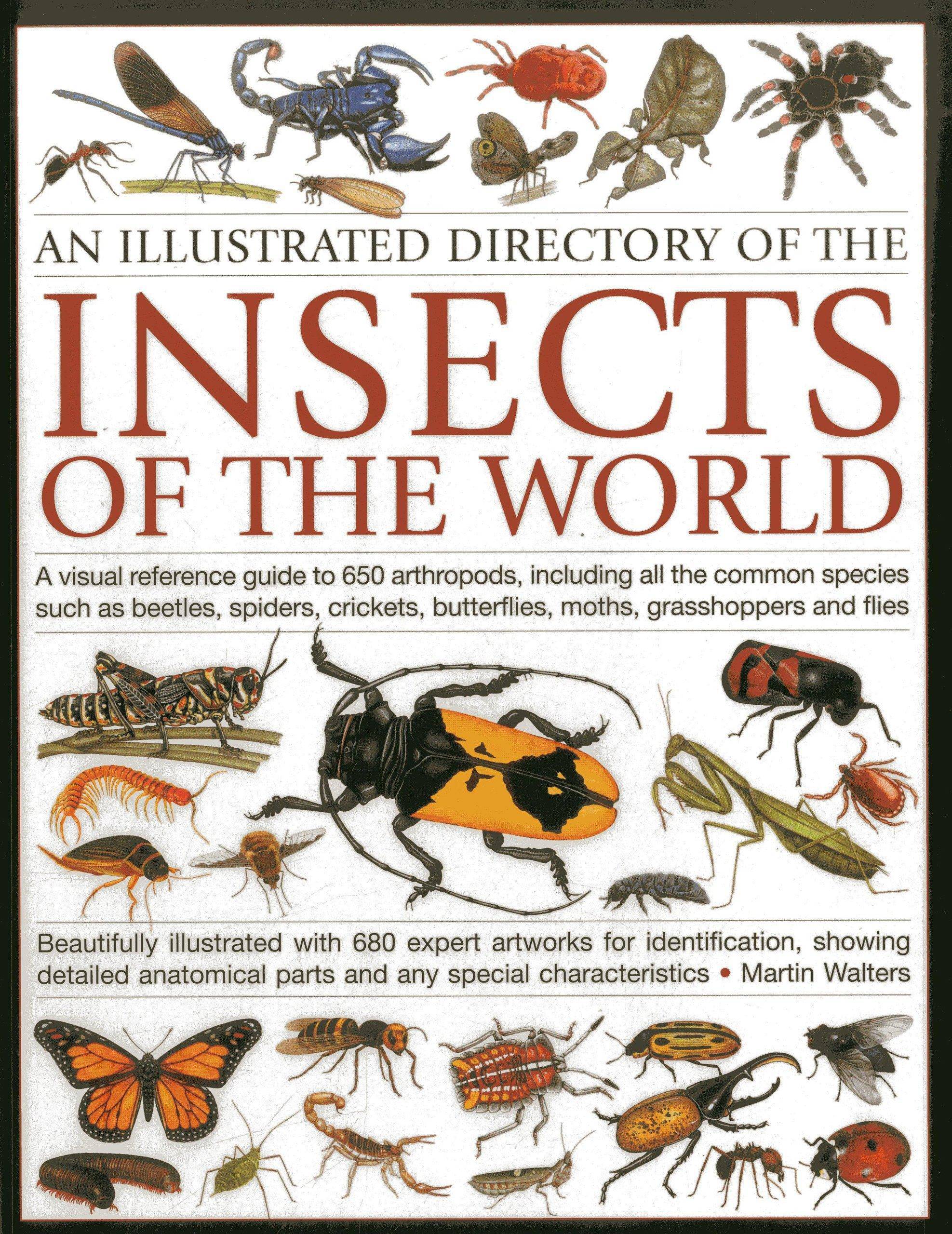 An Illustrated Directory of the Insects of the World - SureShot Books Publishing LLC