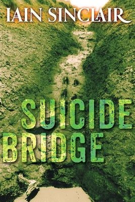 Paperback of Suicide Bridge by Skylight Press featuring a dark, atmospheric cover with abstract artwork.