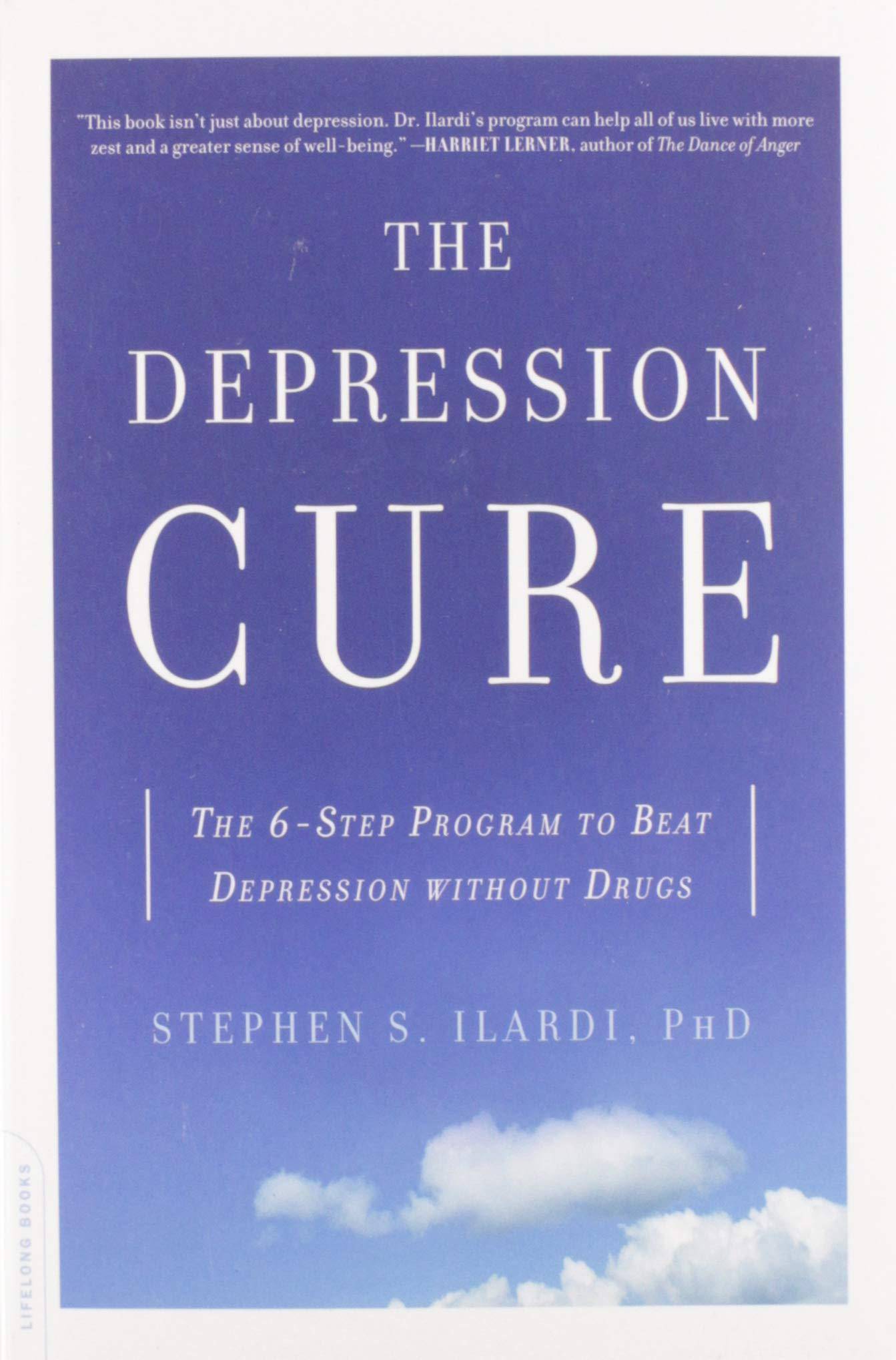 The Depression Cure - SureShot Books Publishing LLC