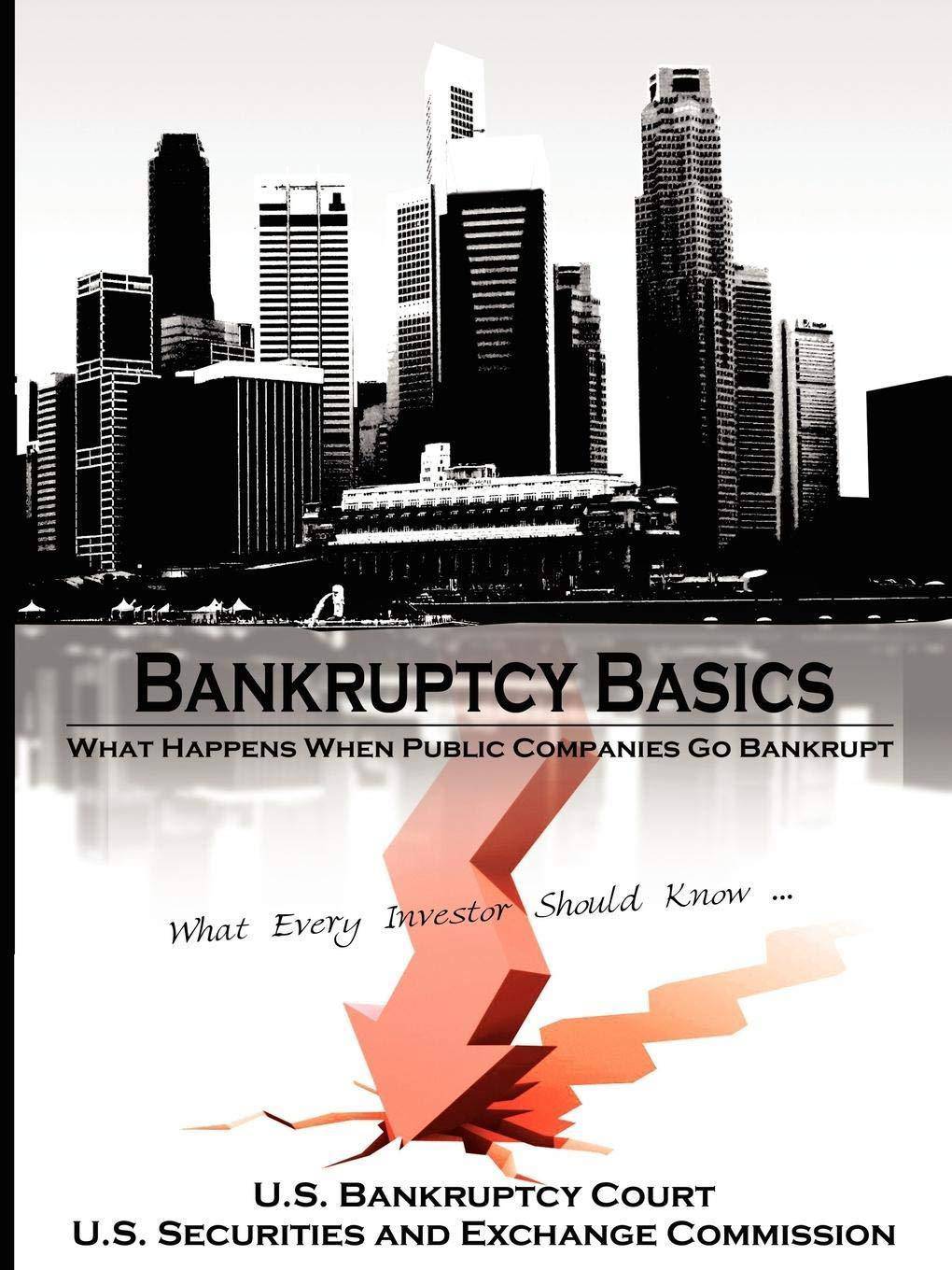 Bankruptcy Basics - SureShot Books Publishing LLC