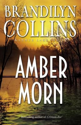 Amber Morn paperback book by Zondervan with a soft cover and a warm, amber-toned design on the front.